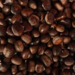 COMPRADOR DE CASTAÑAS POR MAYOREO EN MÉXICO