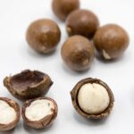 PROVEEDOR DE MACADAMIA POR MAYOREO