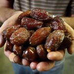 PROVEEDOR DE DÁTIL POR MAYOREO