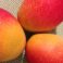 PROVEEDOR DE MANGO POR MAYOREO - Image 2